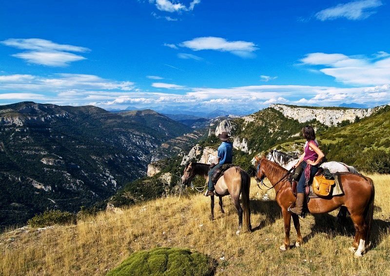 Mule trekking