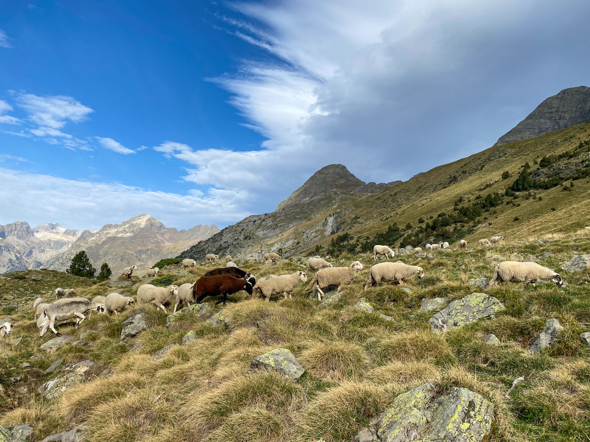 Senderismo de montaña en el valle de Benasque